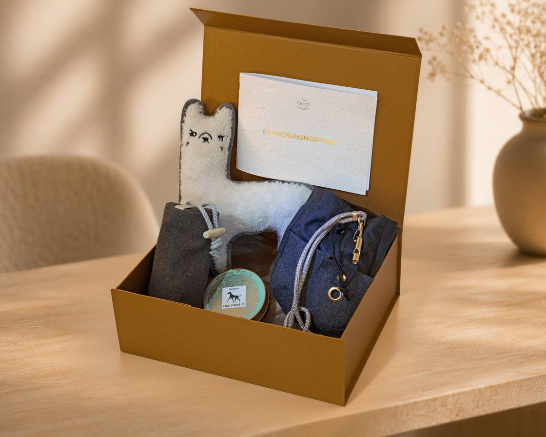 Geöffnete The Fetch Club Box mit Produkten für die Rangordnungsphase
