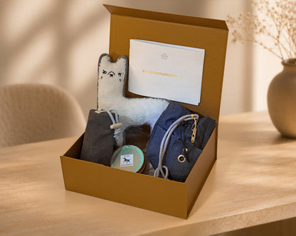 The Fetch Club Box für die Rangordnungsphase mit Training, Pflege und Beschäftigung