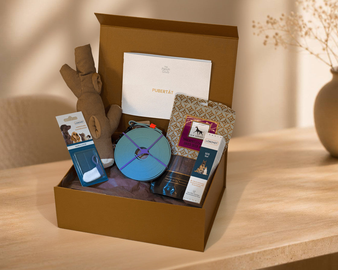 The Fetch Club Box für die Pubertät mit passenden Produkten für junge Hunde
