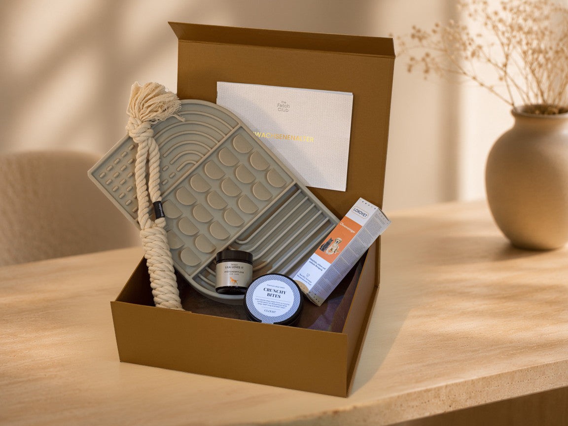 The Fetch Club Box für erwachsene Hunde mit kuratierten Produkten für den Alltag